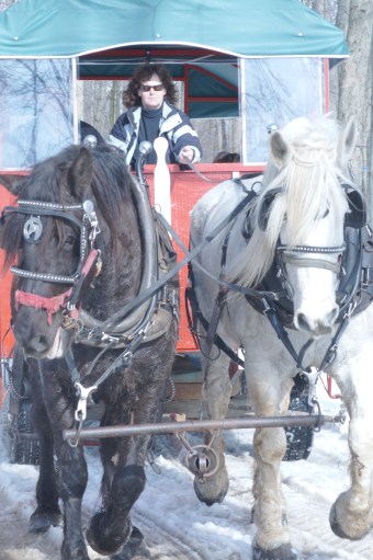 Person driving a horse-drawn wagon