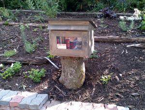 Free library on tree stump