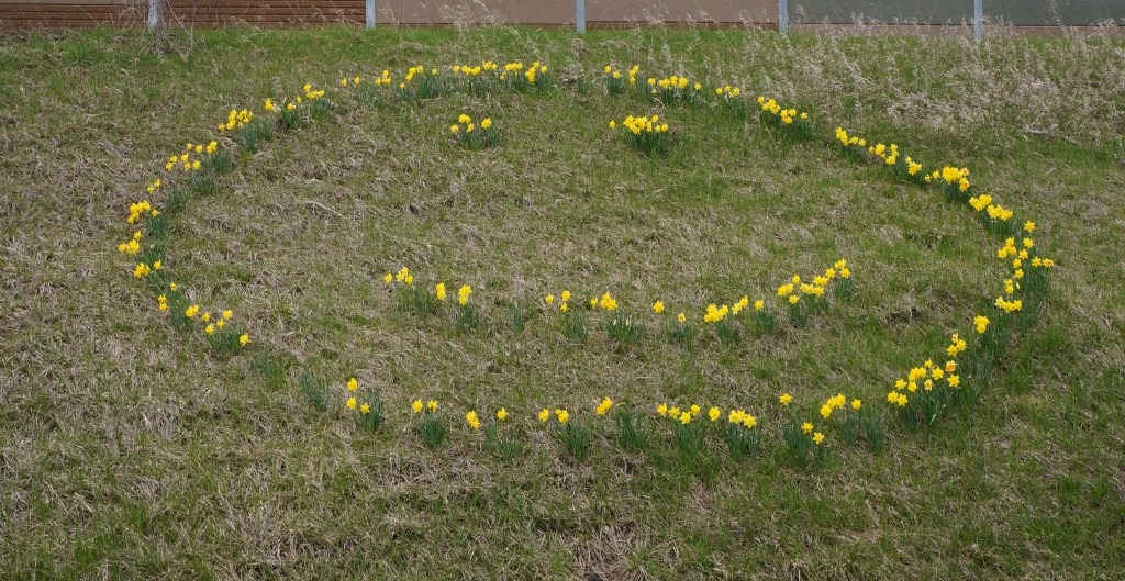 flowers planted in happy face design