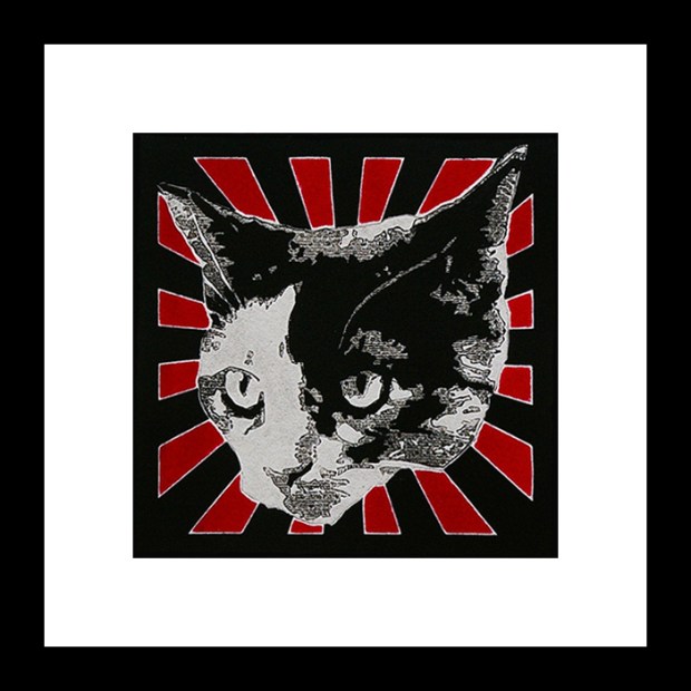 pop art print of black and white cat