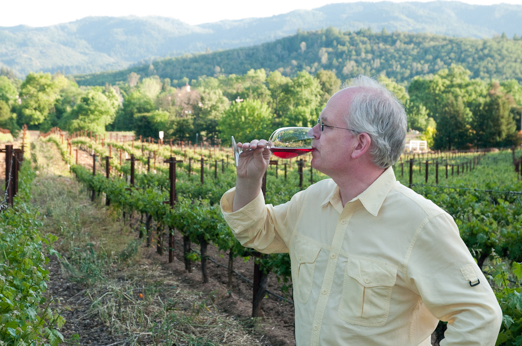 Man in vineyard drinking red wine